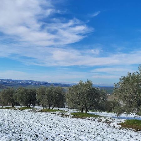 Dimora In Francigena Hotel San Quirico d'Orcia Exterior photo