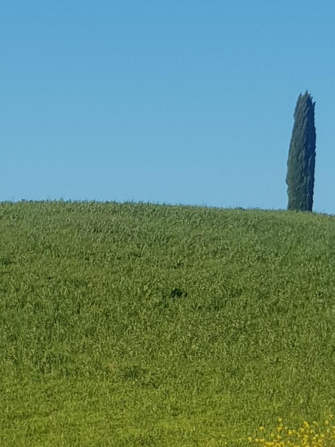 Dimora In Francigena Hotel San Quirico d'Orcia Exterior photo