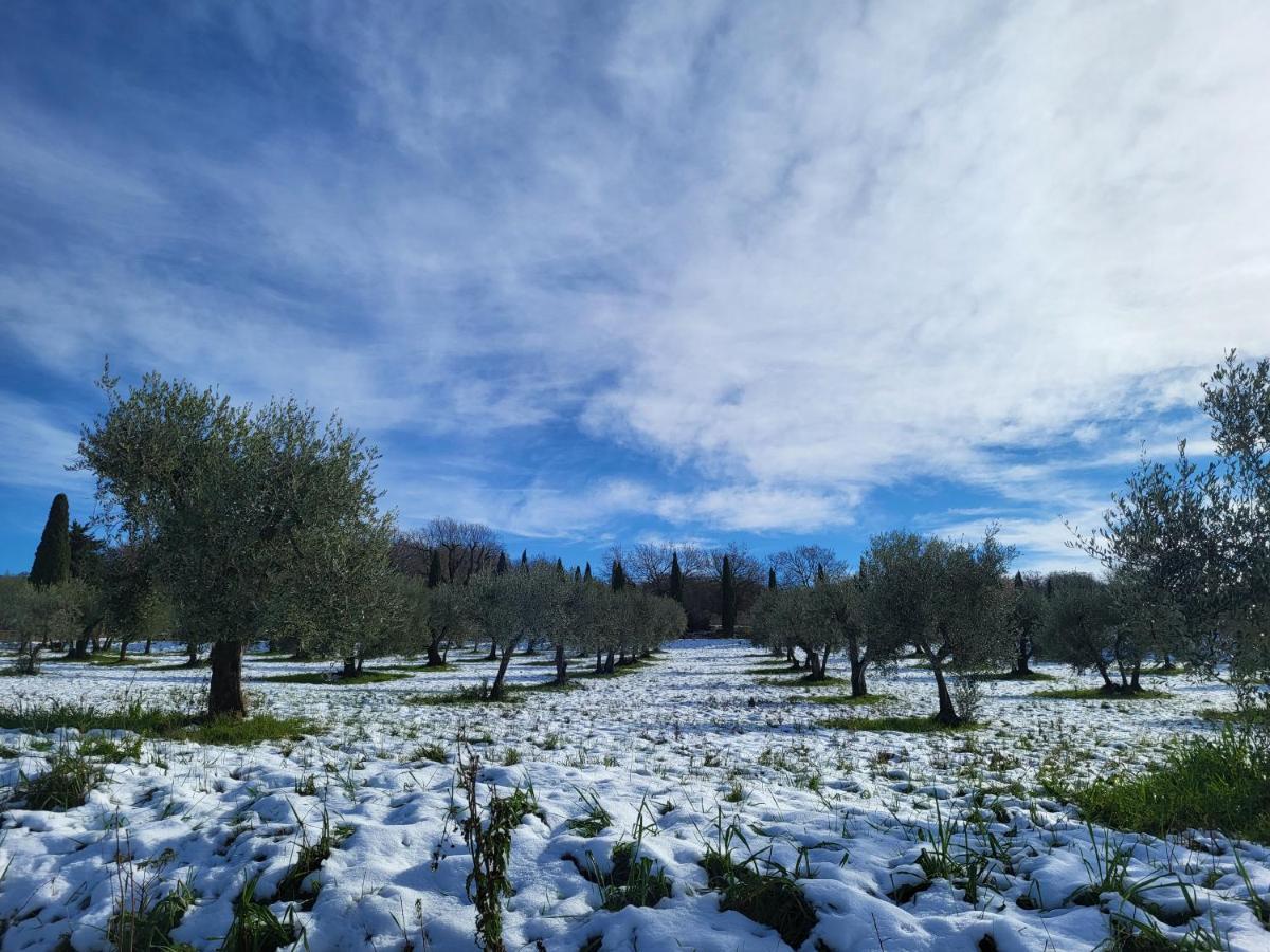Dimora In Francigena Hotel San Quirico d'Orcia Exterior photo